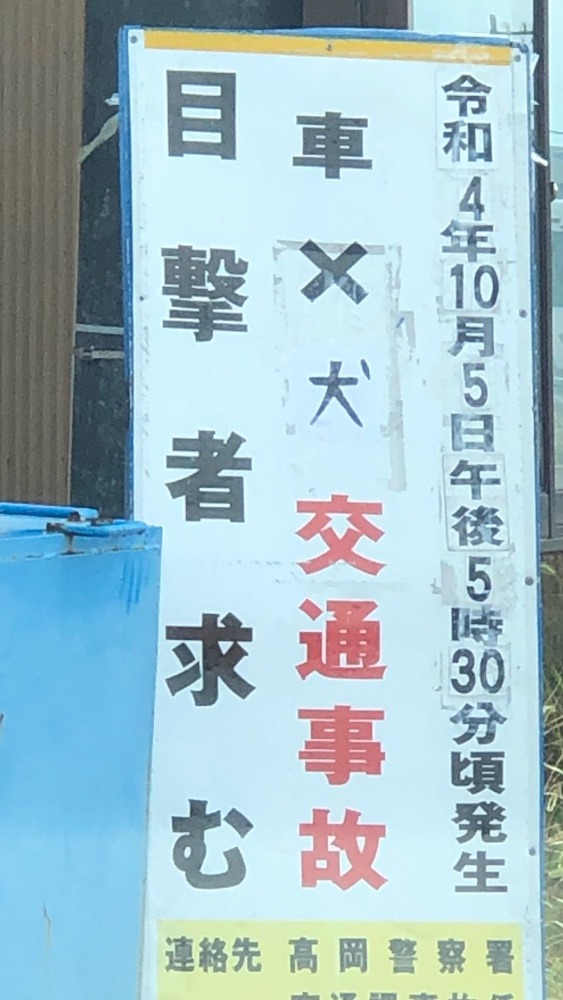 交通事故🐶