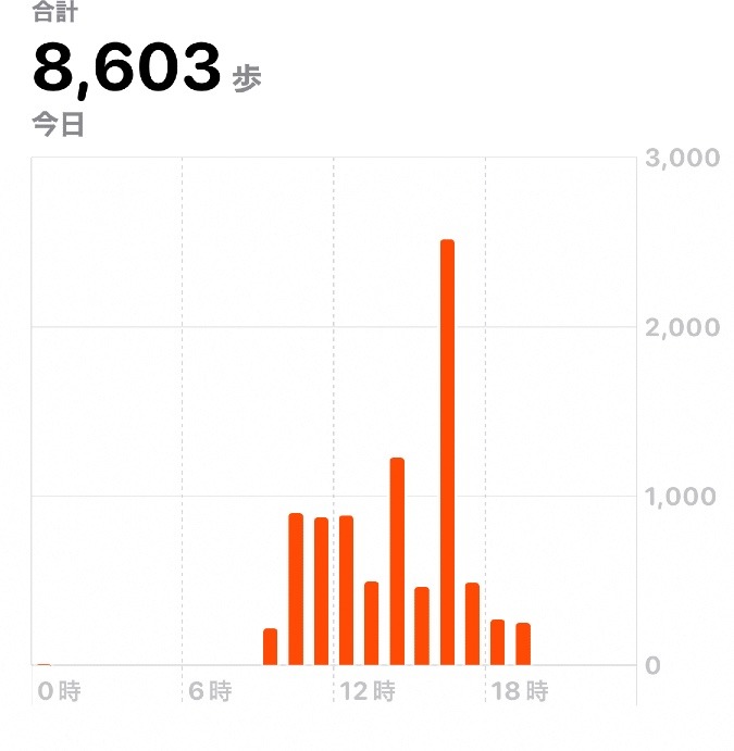 8603歩　ウォーキング10/31