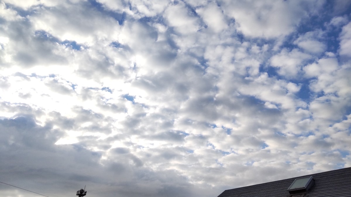 黒or白？ 晴れor雨？どっち？