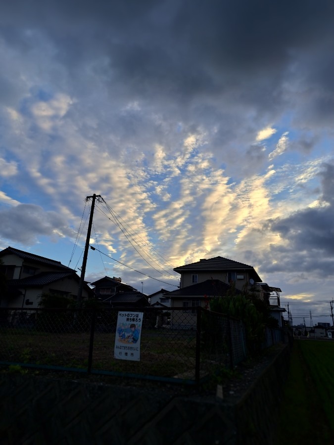 朝散歩の風景