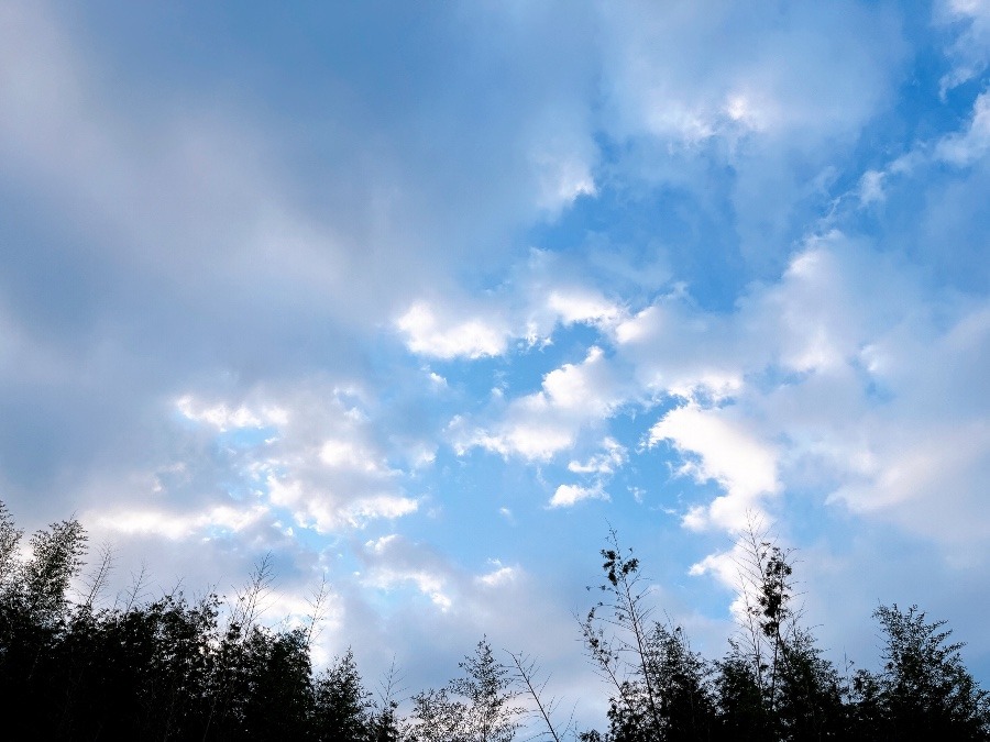 【朝の空】