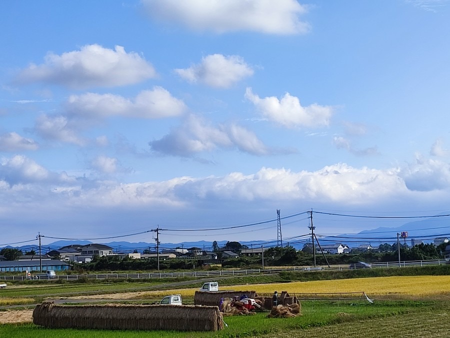 稲刈り🌾と良い風景🏔