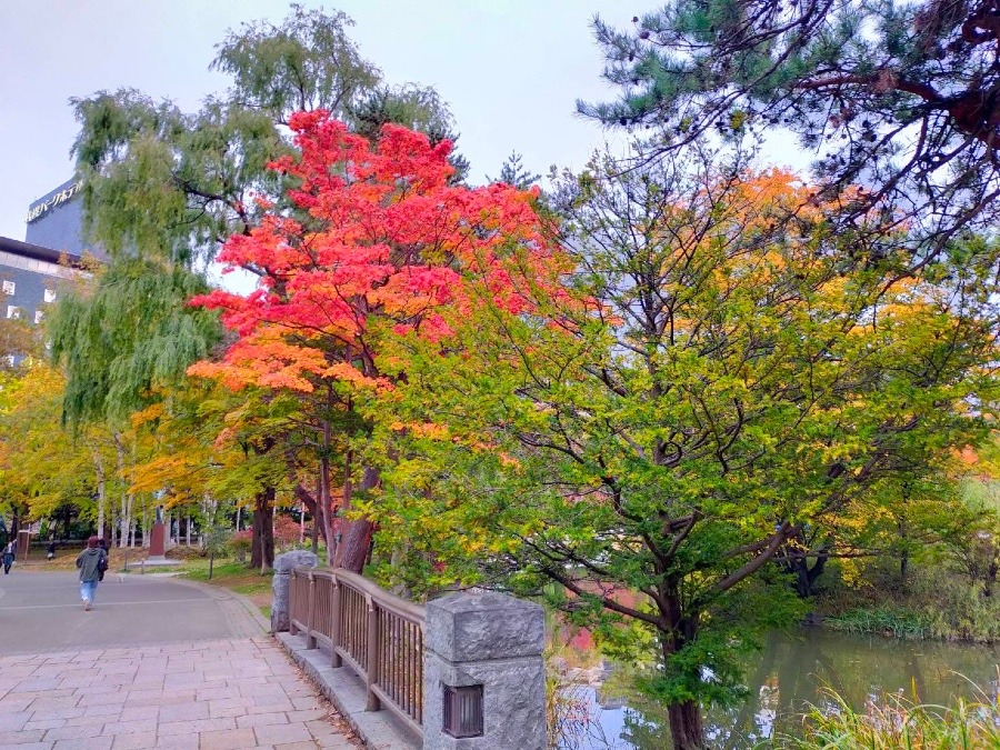 札幌中島公園②