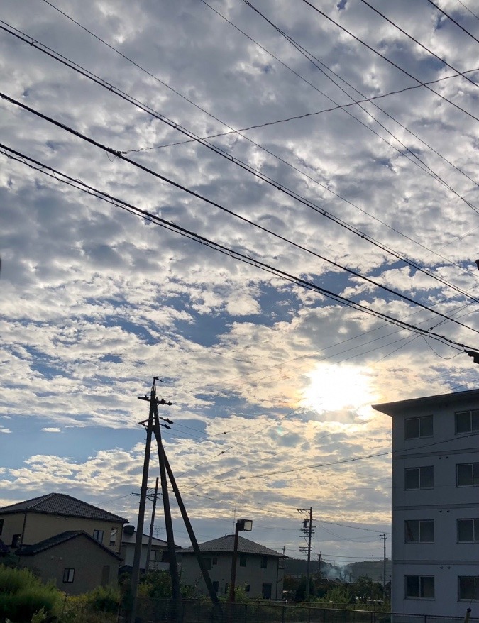 🌤朝陽