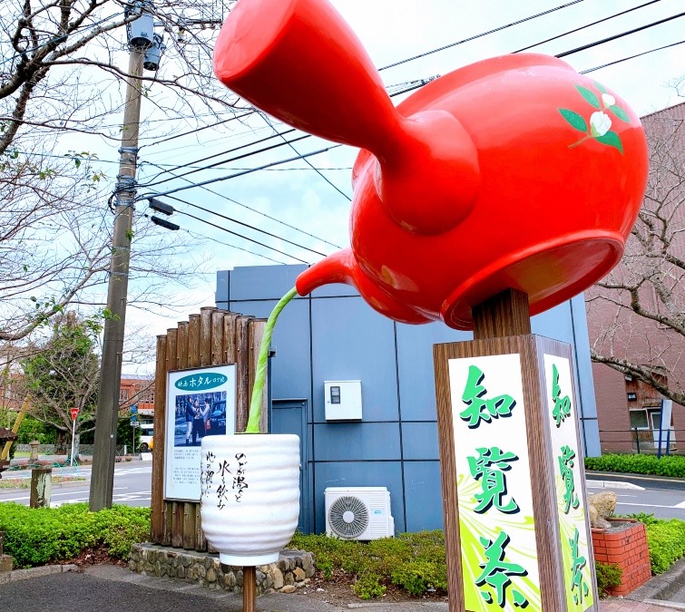 ☆知覧ツアー　知覧茶☆