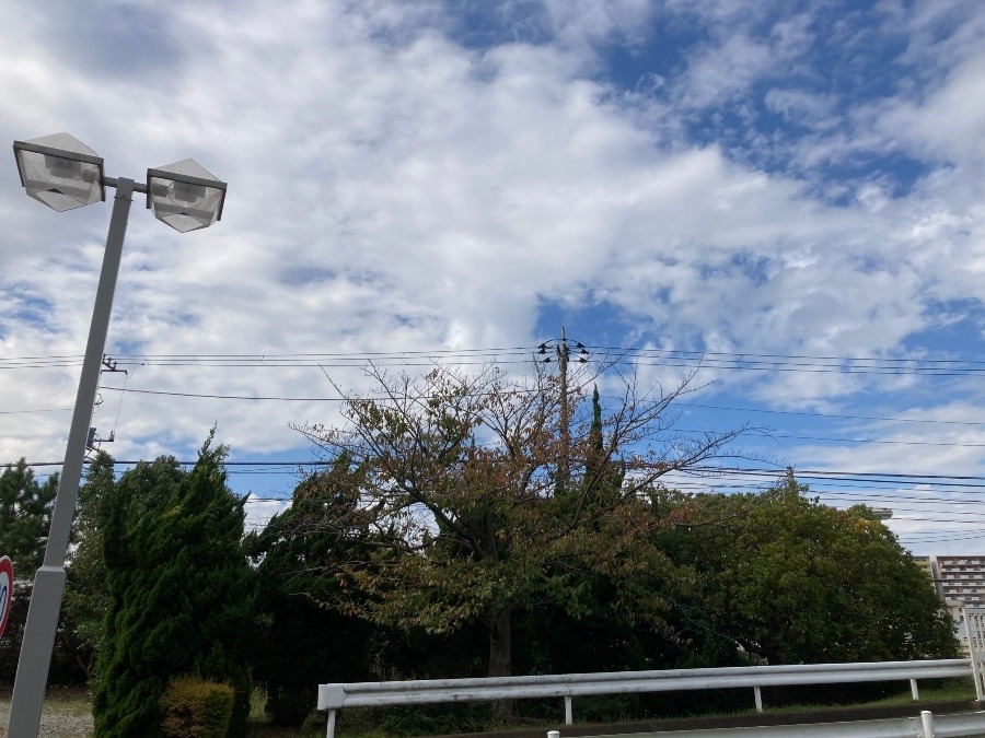 昼間の空