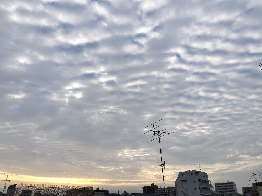 10月3日朝の空