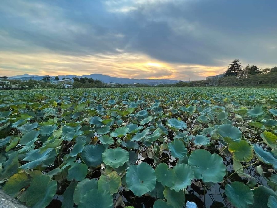 夕暮れのお堀