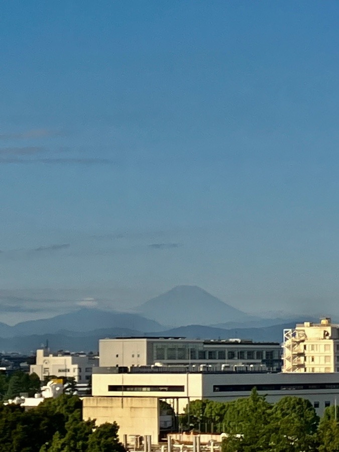 今朝の富士山