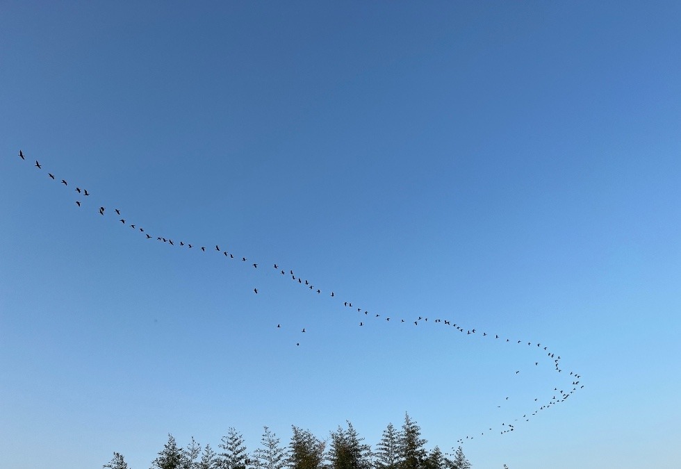 【朝の空】