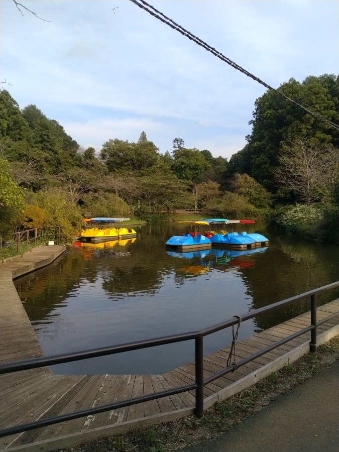 公園内のボートです！