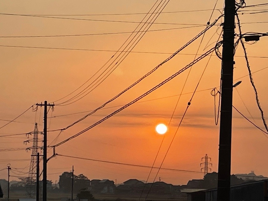 おはようございます🌅