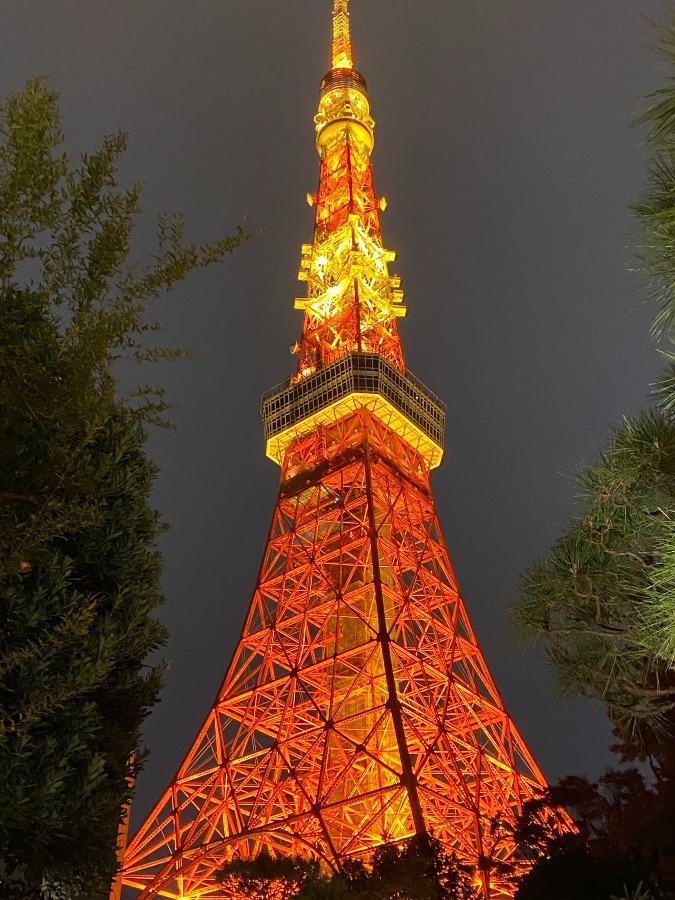 東京タワー🗼