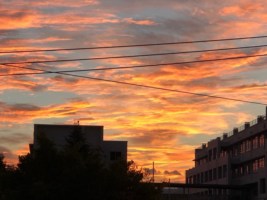 今日の空　夕焼け