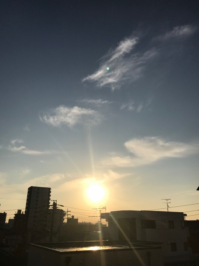 11/17の朝陽〜☀️✨