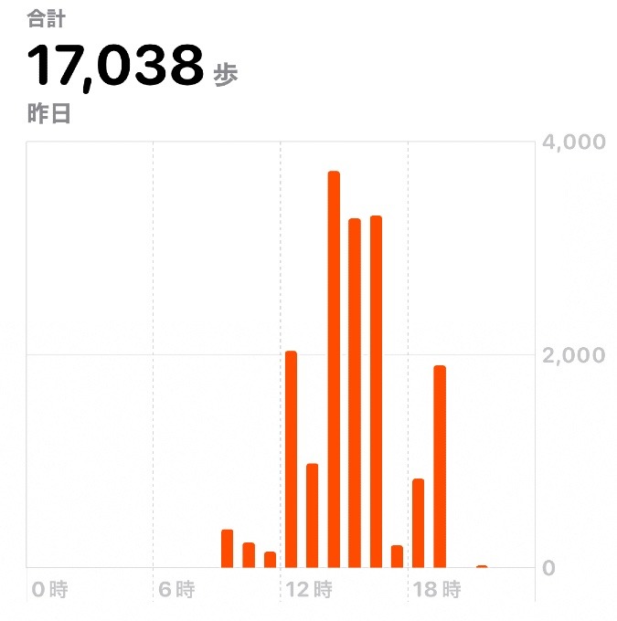 17038歩　ウォーキング11/22