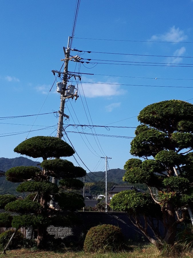 11月5日今空