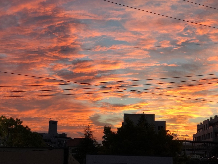 今日の夕焼け