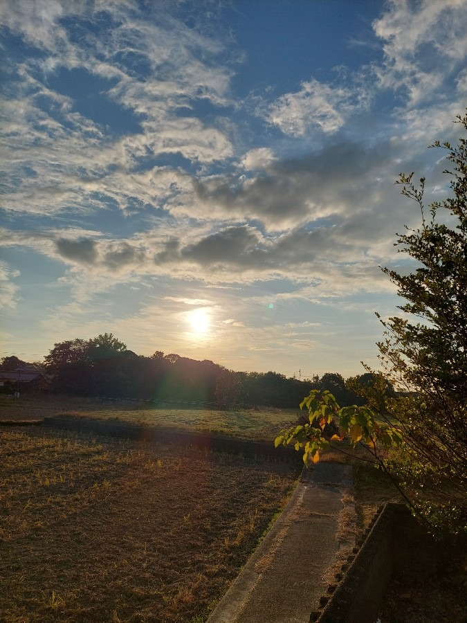 11/19朝空