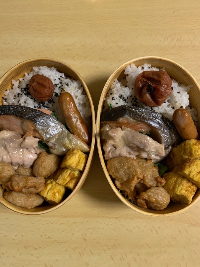 今日のお弁当