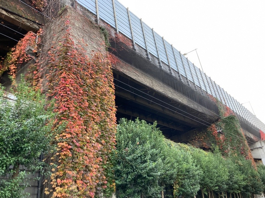 高速道路の橋桁