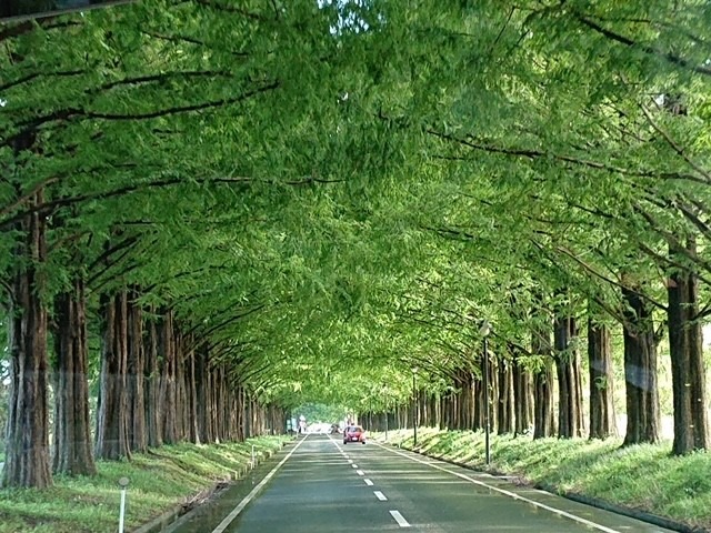 滋賀県の人気スポット