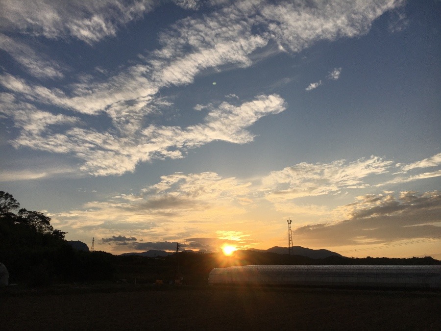 ⭕️ 夕焼け、（≧∇≦） 今日の夕焼け‼️