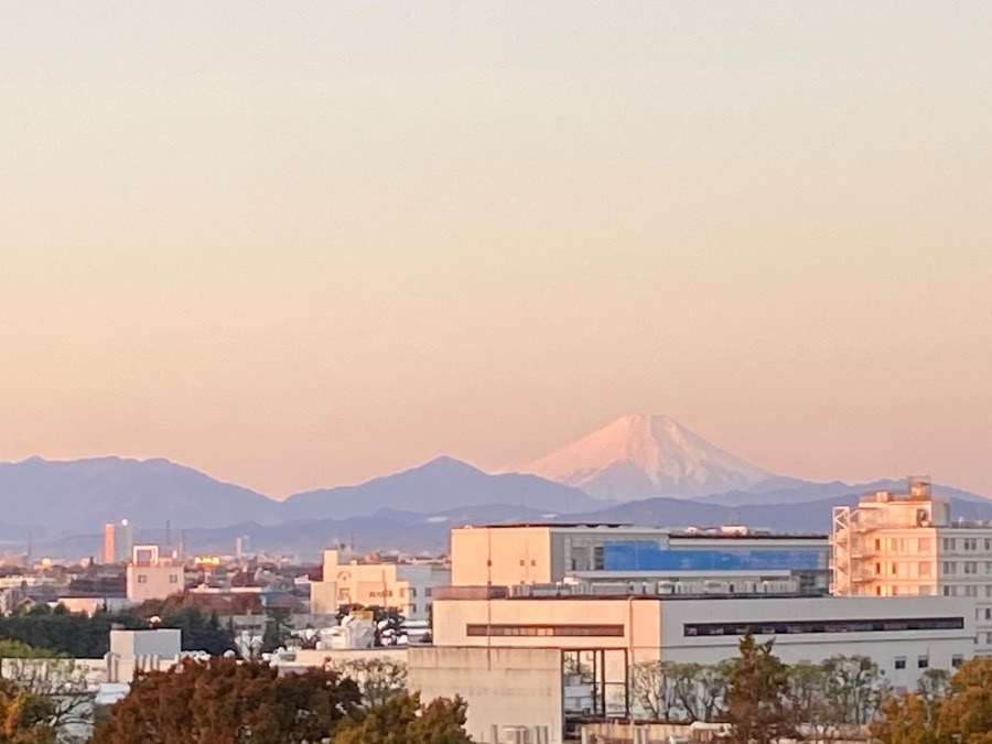 今朝の富士山