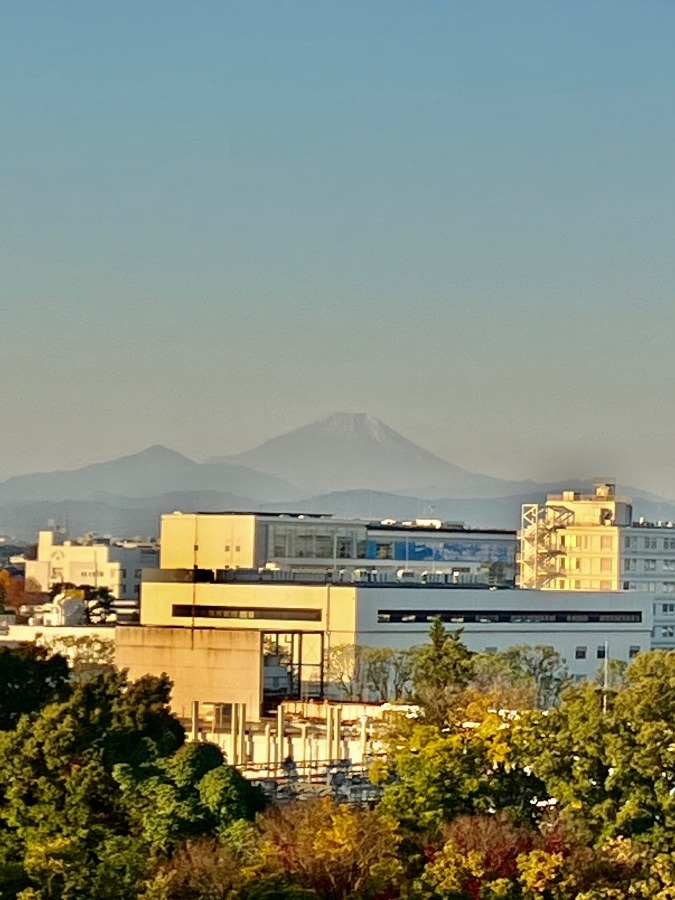 今朝の富士山