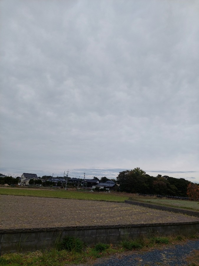 11/1朝空