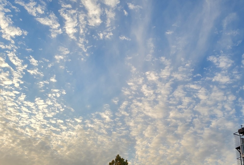 ✨今空✨