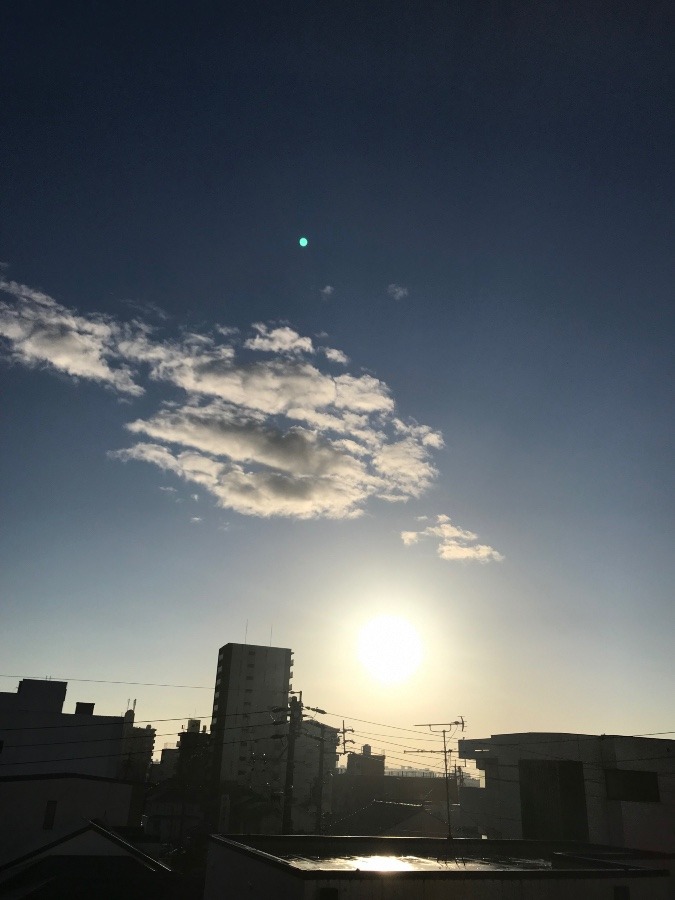 今日の朝陽〜☀️✨