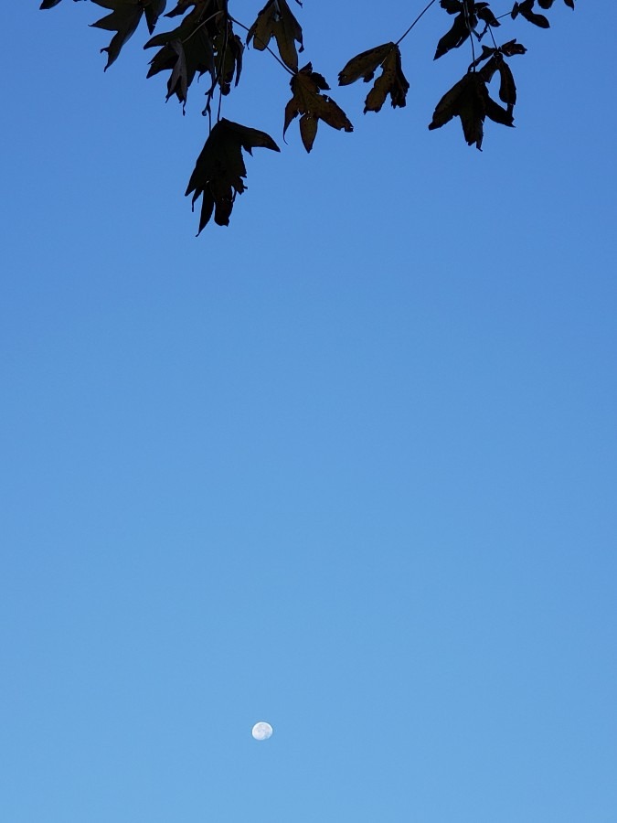 今日の空－11月12日