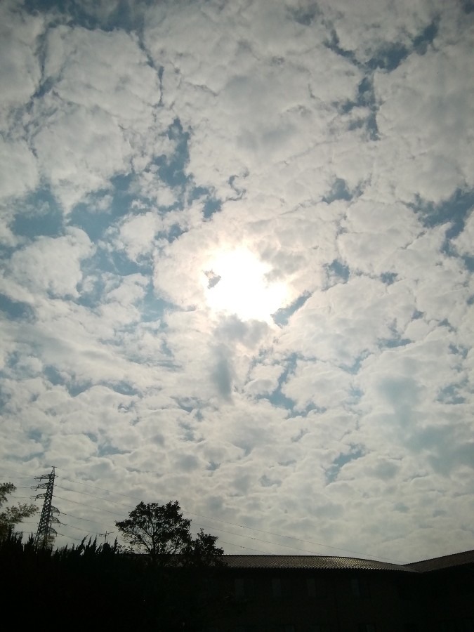 今空