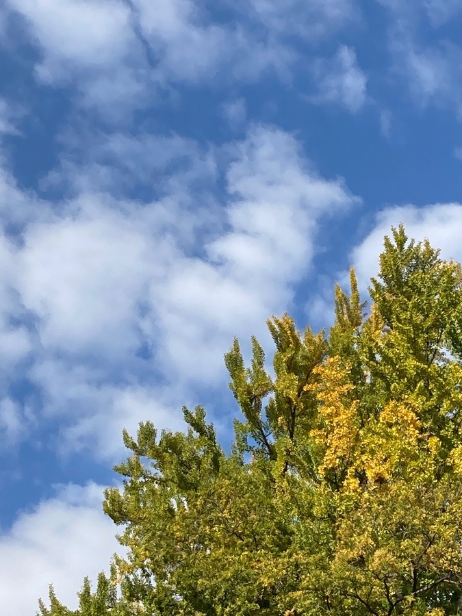 今日も晴れ☀️