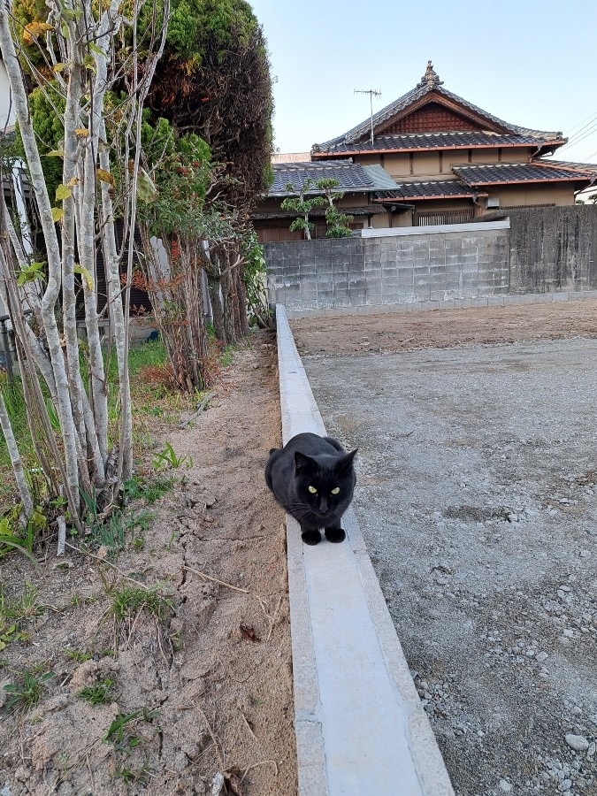 散歩の風景