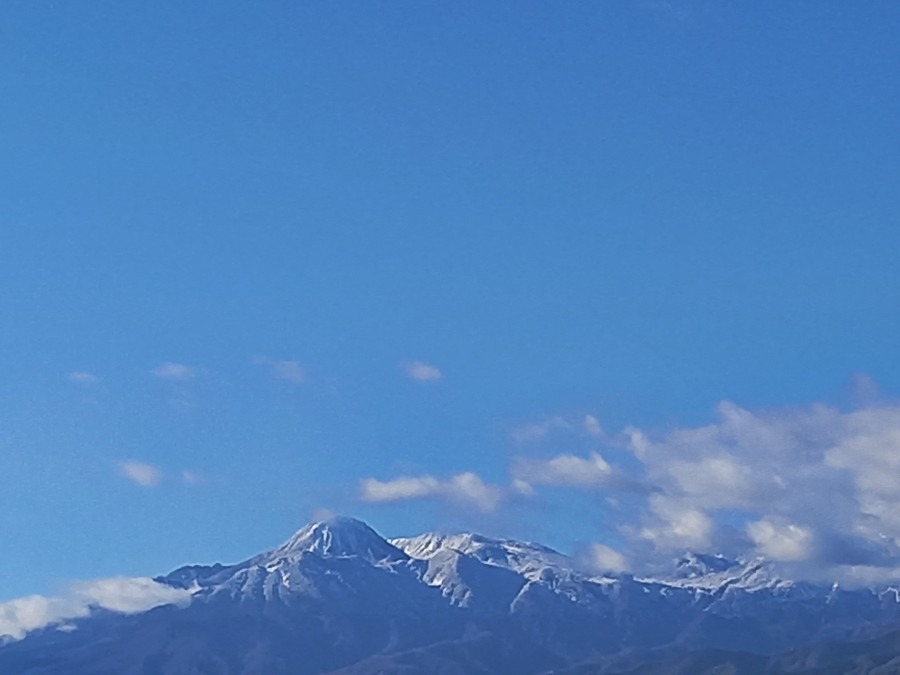 今朝の風景