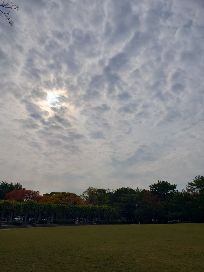 今日の空－11月11日