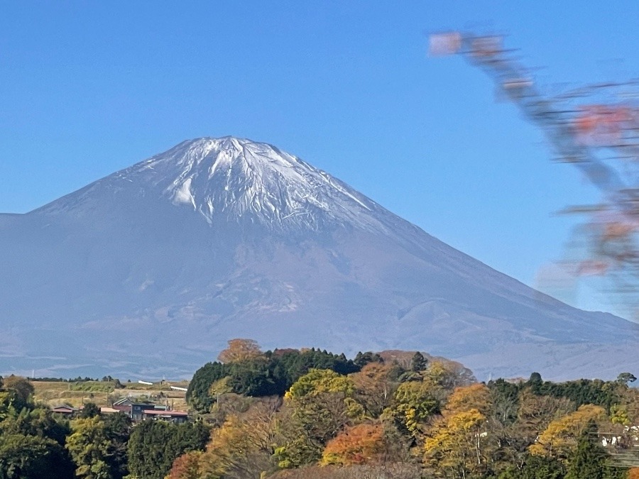 富士山に誓う