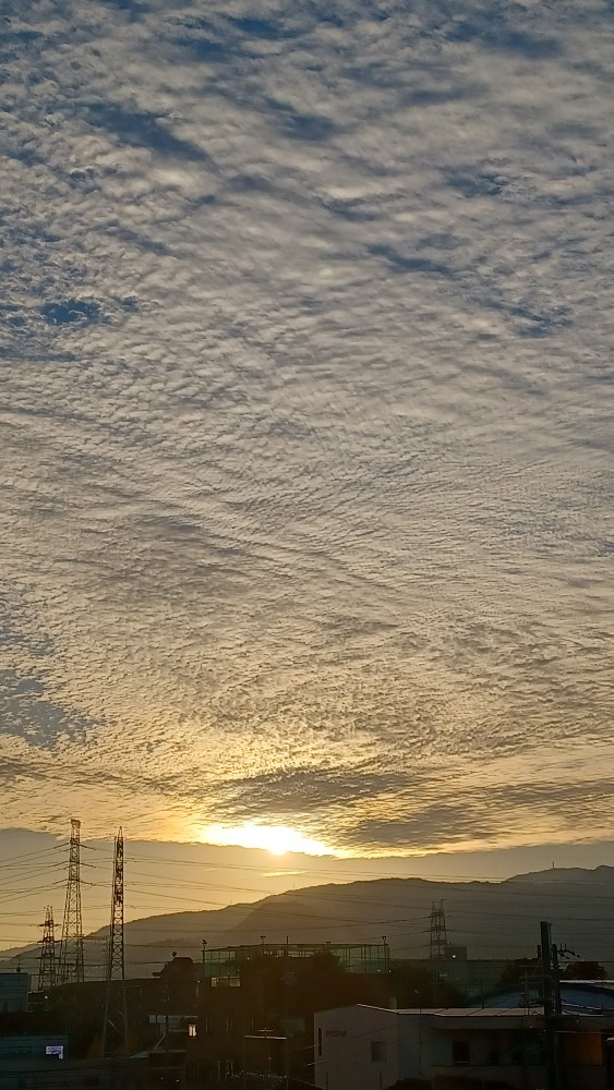 今日の夕陽