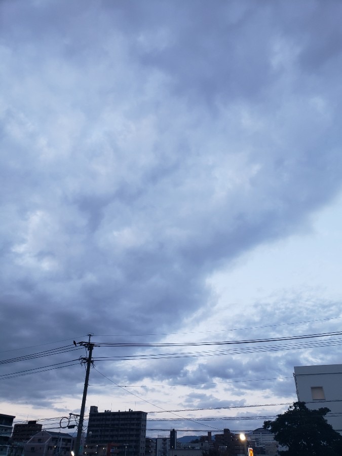 今日の空－11月26日