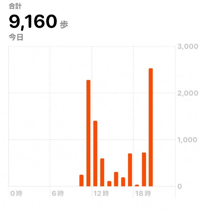 9160歩　ウォーキング11/25