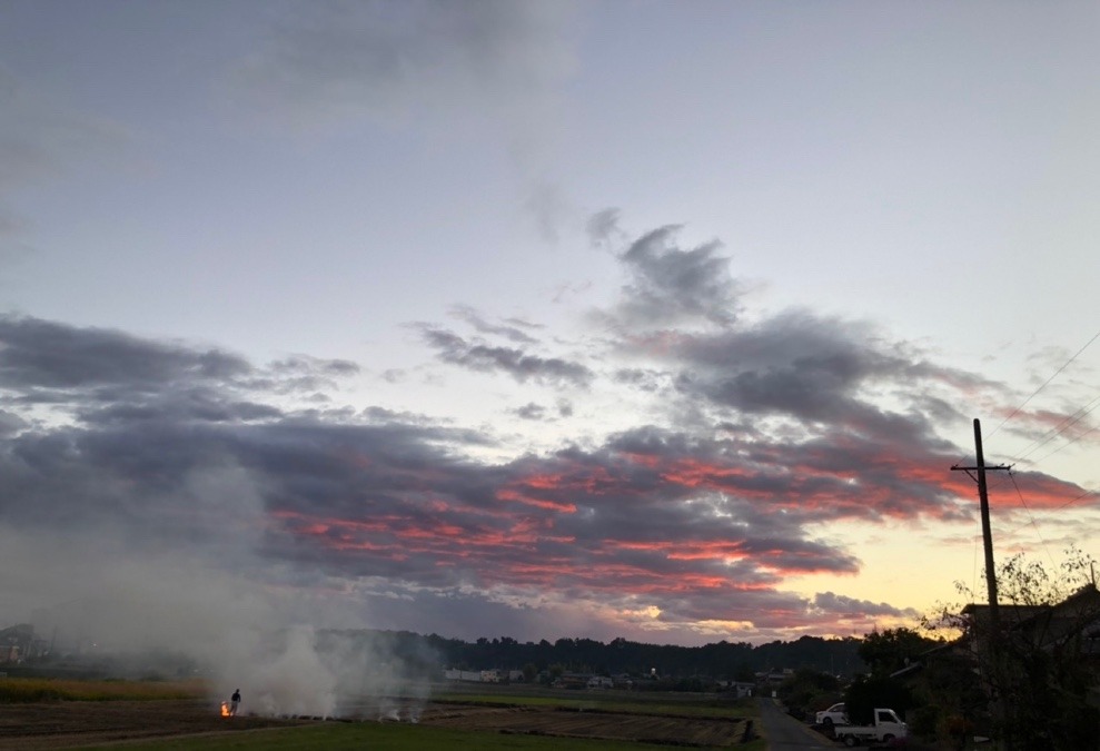 🌤燃えてる