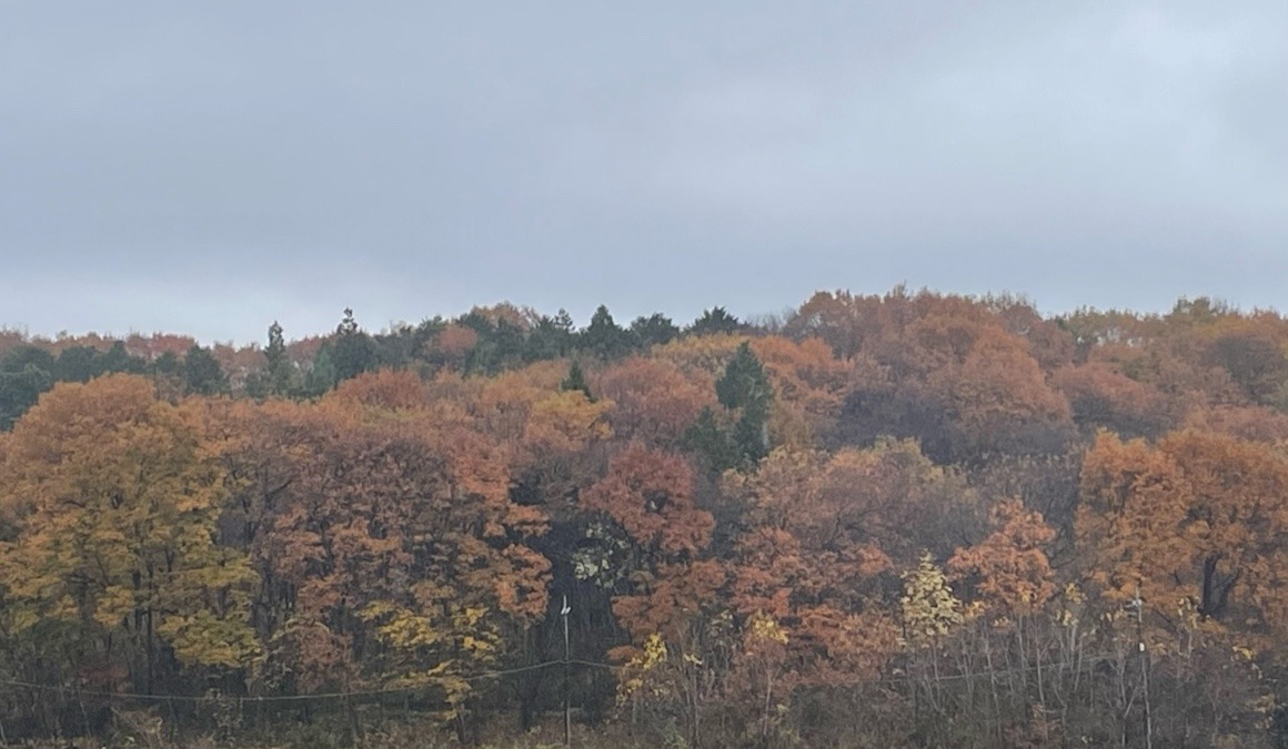 今日の空♪