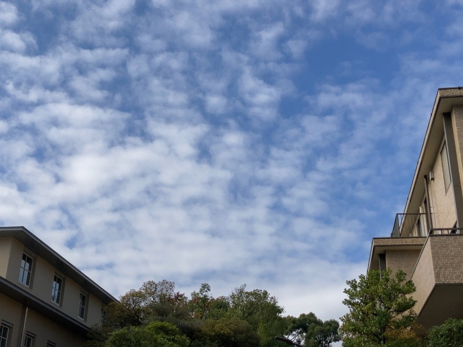 空の雲