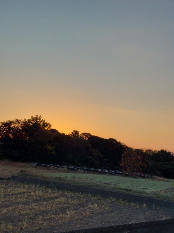 11/16朝空