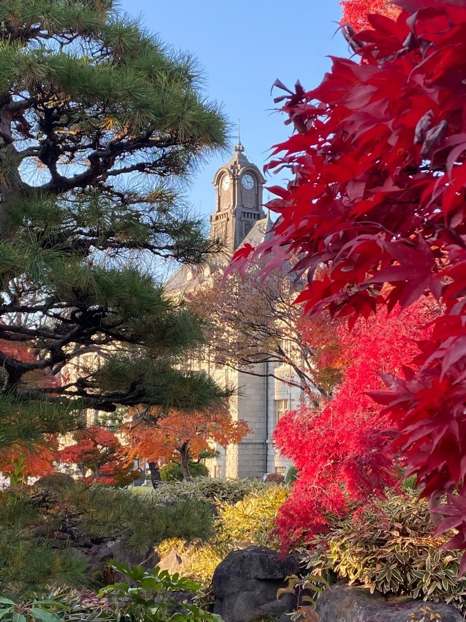 旧県庁舎🍁🍁🍁