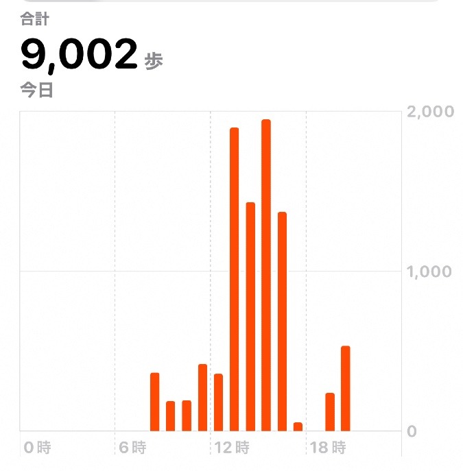 9002歩　ウォーキング11/5