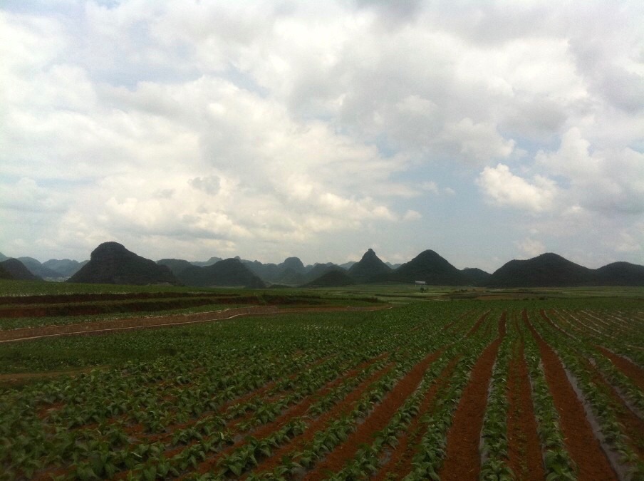 羅平（雲南省、中国）