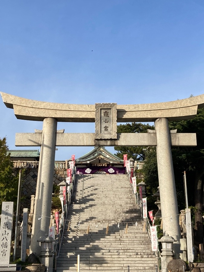 亀山八幡宮⛩